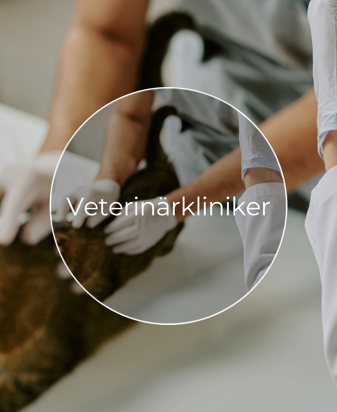 Hitta produkter till Veterinärkliniker